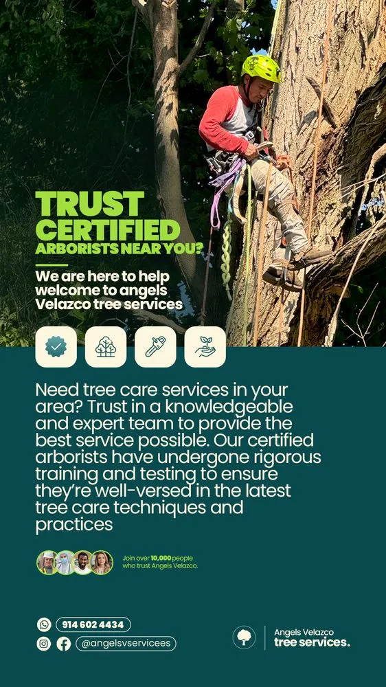 Top-rated lawn mowing service for outdoor upgrades across Valhalla, NY - Av Angel’s V