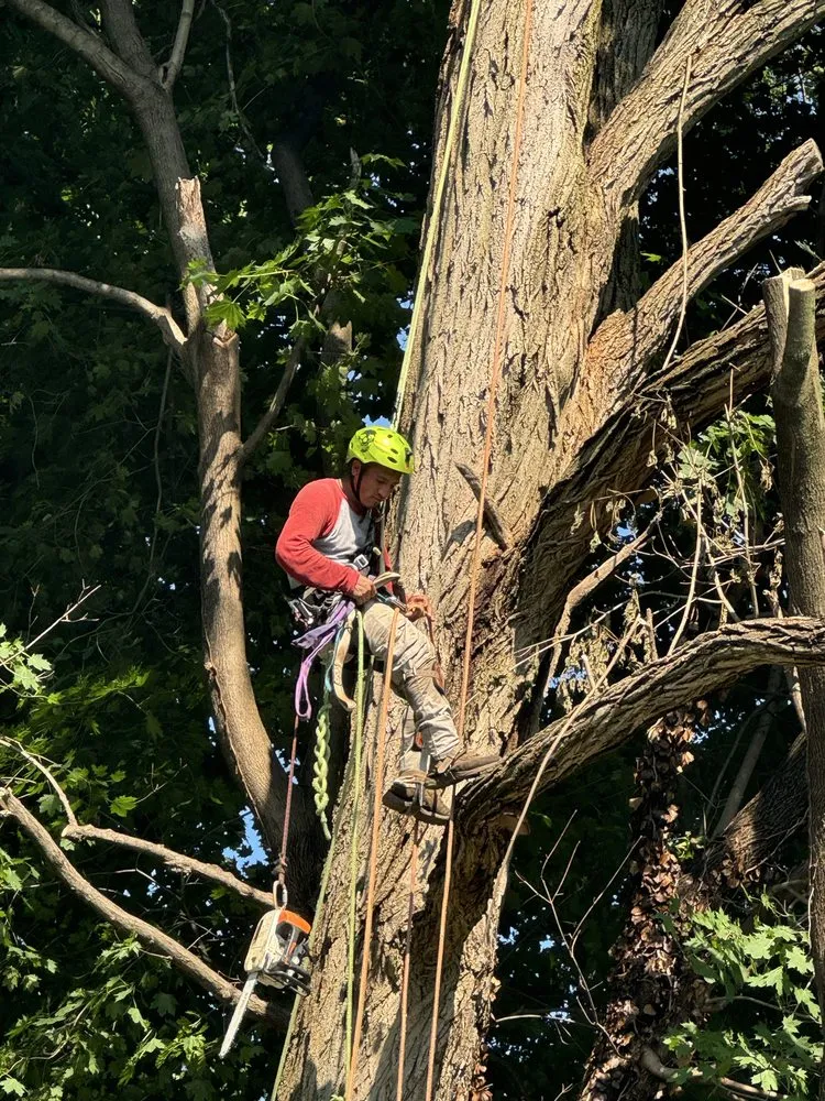 Custom residential landscaping for residential properties in Valhalla, NY by Av Angel’s V