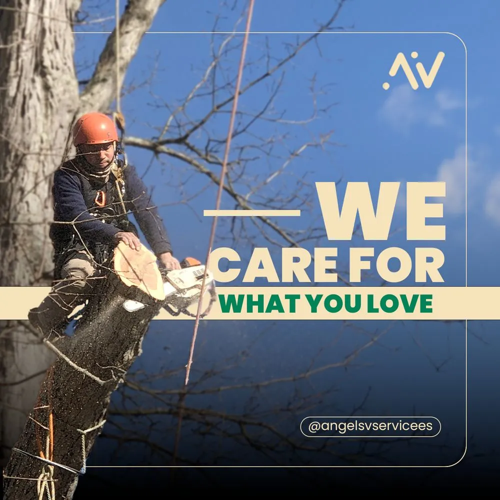 Expert lawn mowing service in Valhalla, NY - Av Angel’s V