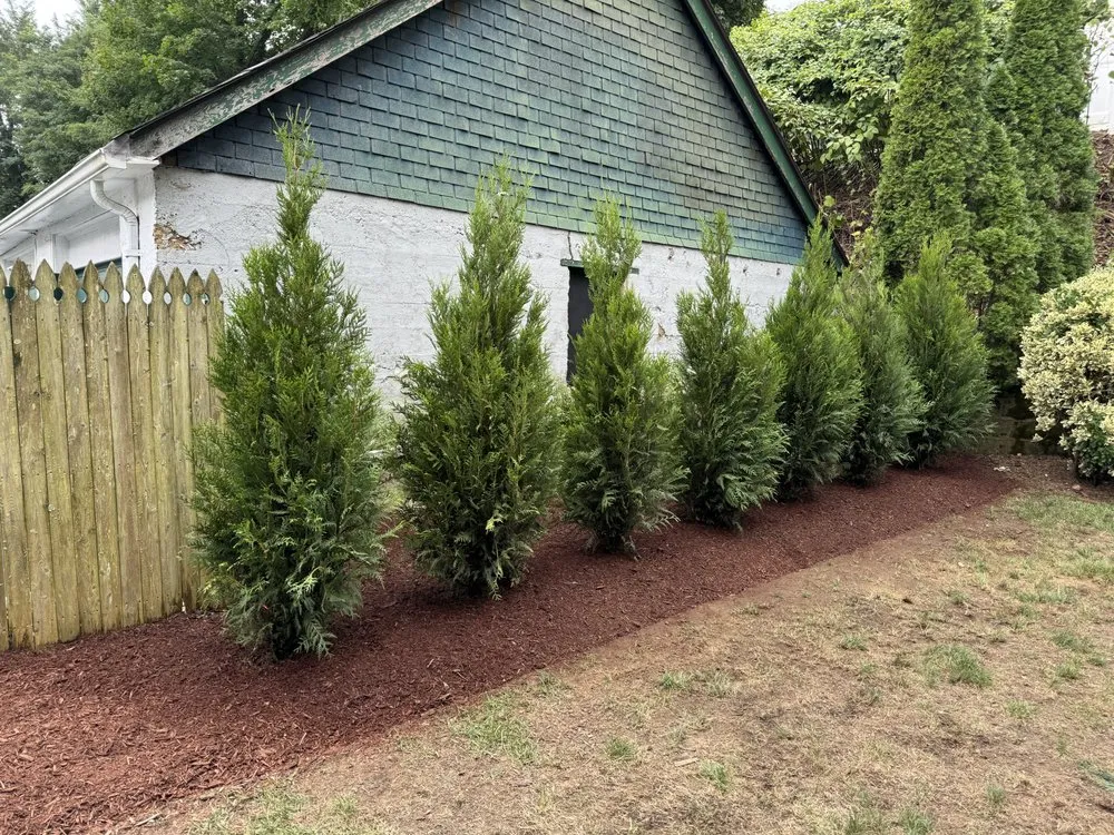 Local lawn mowing service in Valhalla, NY by Av Angel’s V