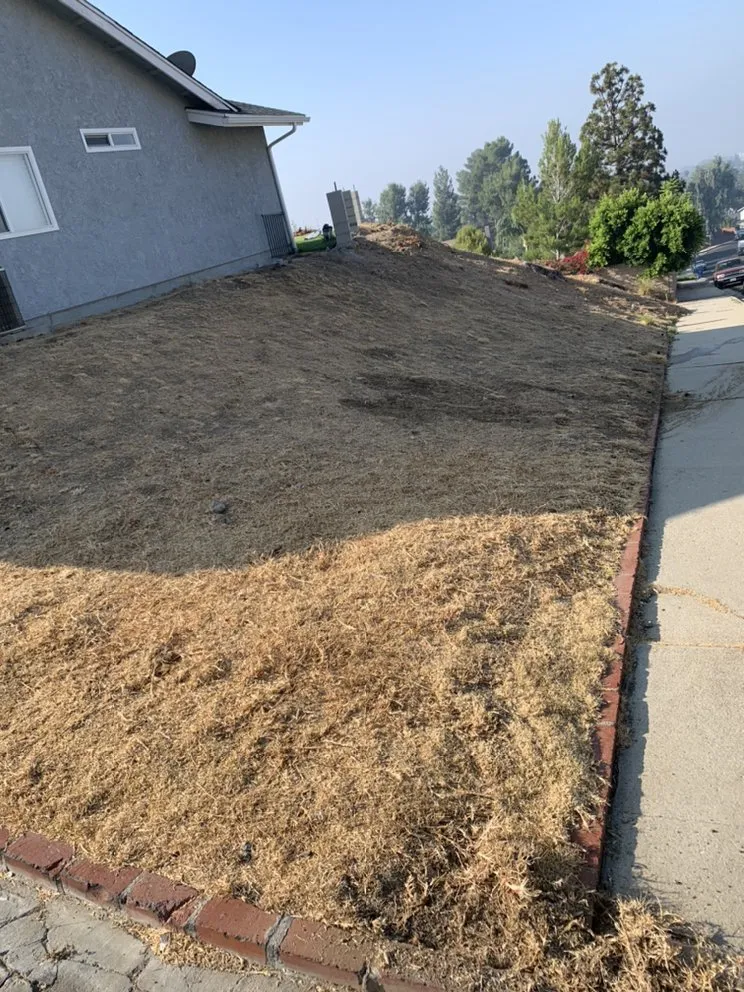Top-rated garden landscaping for outdoor upgrades in Lake View Terrace, CA by AV Customs