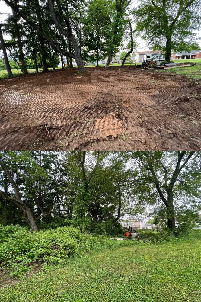 Trusted lawn care service for year-round maintenance in Bath, PA by AV Excavations