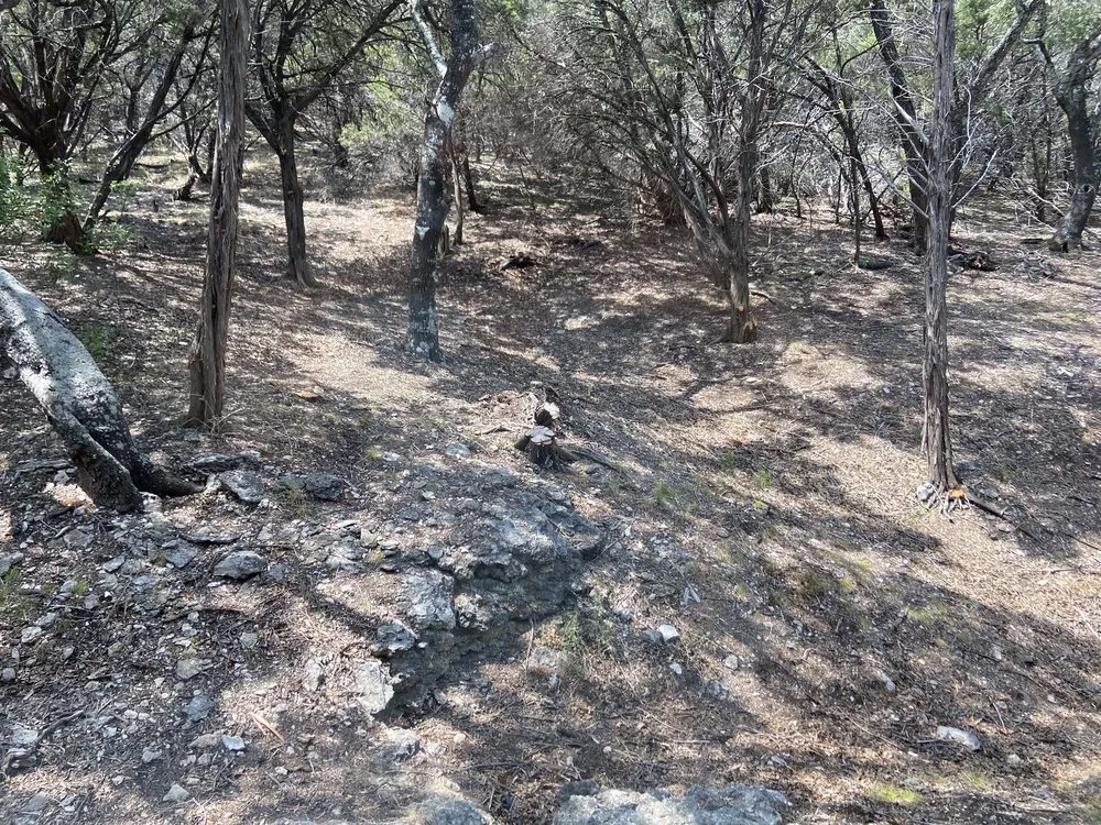 Custom lawn care service for homes in San Antonio, TX by A&V Fencing and Landscaping