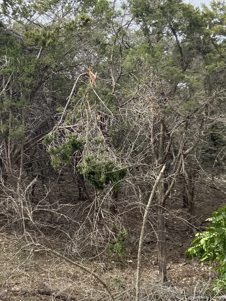 Professional lawn mowing service with custom design across San Antonio, TX - A&V Fencing and Landscaping