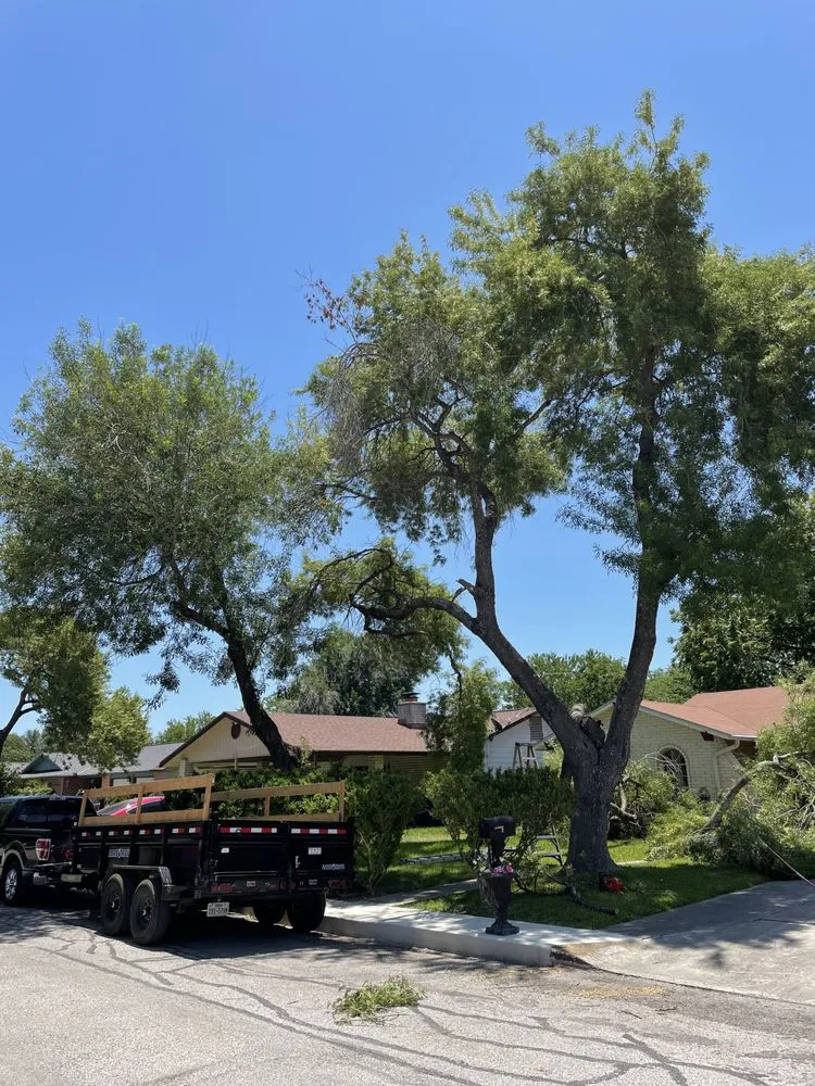 Trusted residential landscaping near you across San Antonio, TX - A&V Fencing and Landscaping