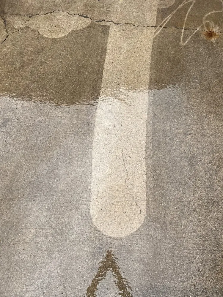 Trusted yard cleanup service in Huachuca City, AZ by A&V