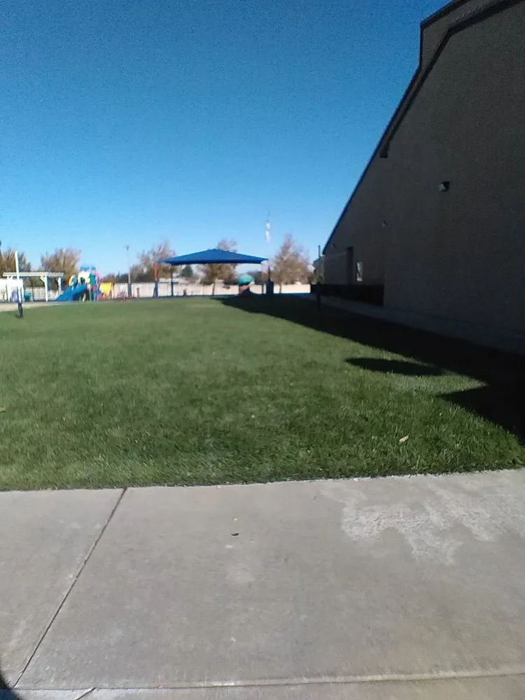 Custom yard cleanup service experts serving Lancaster, CA - AV Lancaster Landscaping and Gardening