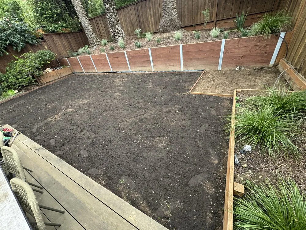 Affordable yard cleanup service experts serving Daly city, CA - AV Landscape