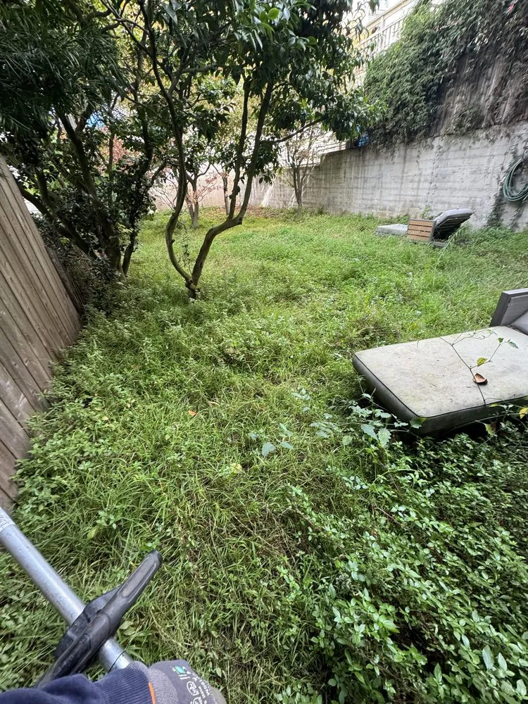 Trusted landscape design in Daly city, CA by AV Landscape