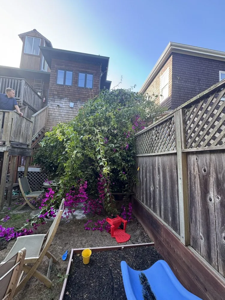 Reliable landscape installation for homes across Daly city, CA - AV Landscape