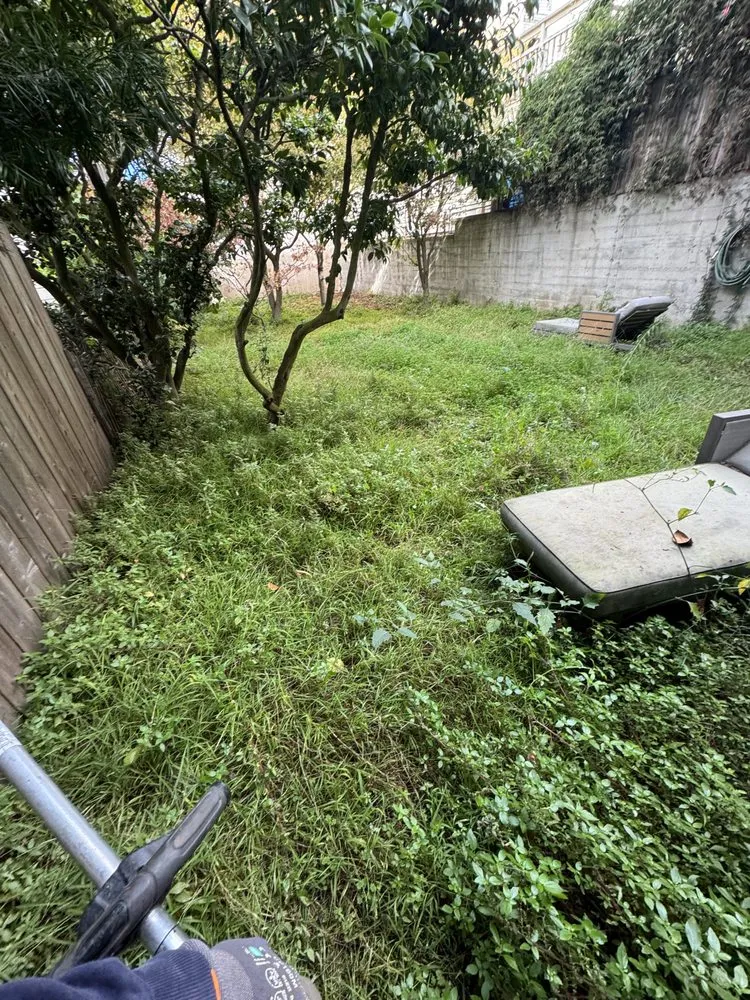 Affordable landscape design for homes across Daly city, CA - AV Landscape