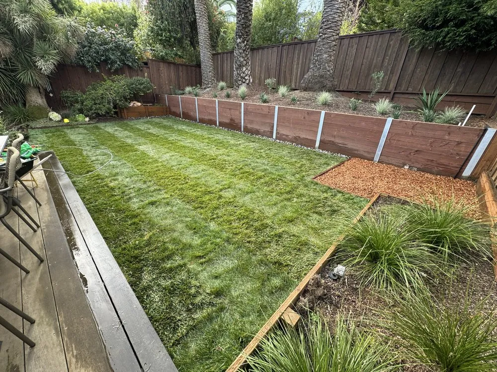 Top-rated lawn mowing service for year-round maintenance in Daly city, CA by AV Landscape
