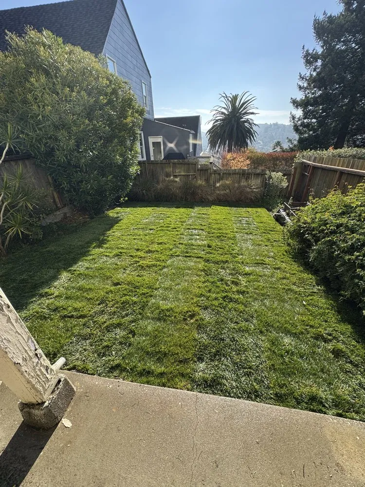 Local landscape design in Daly city, CA - AV Landscape