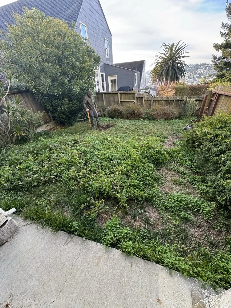 Reliable garden landscaping in Daly city, CA - AV Landscape