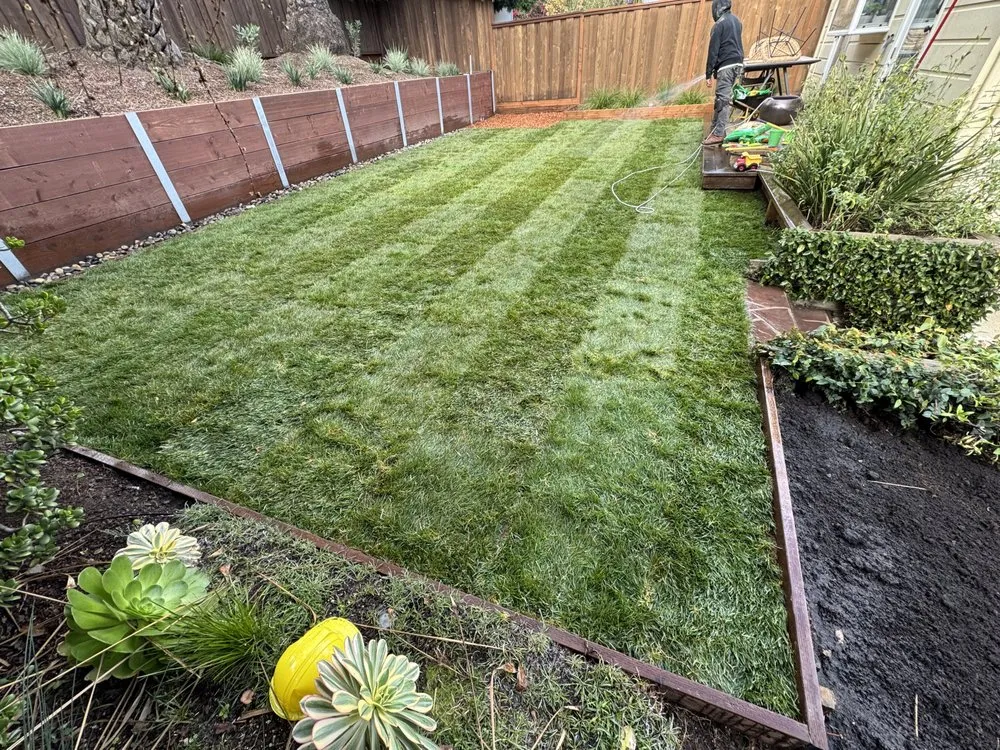Professional landscaping services near you across Daly city, CA - AV Landscape