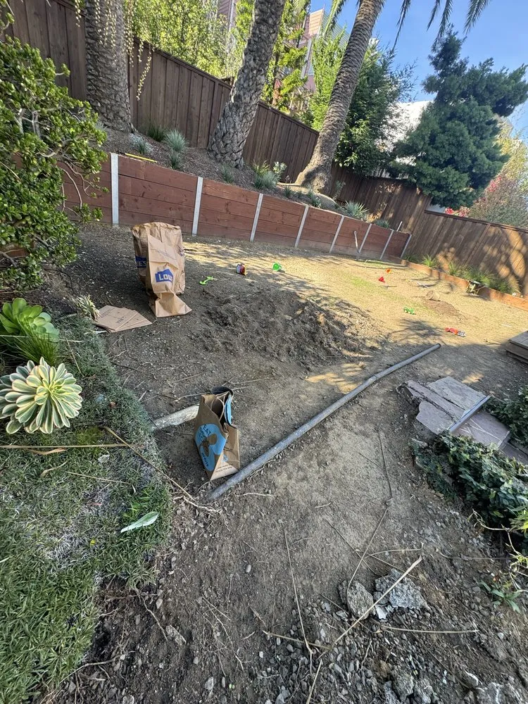 Professional lawn care service near you across Daly city, CA - AV Landscape