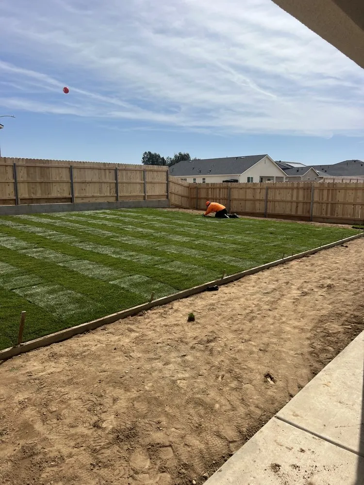 Local yard cleanup service in Dinuba, CA by AV Landscape