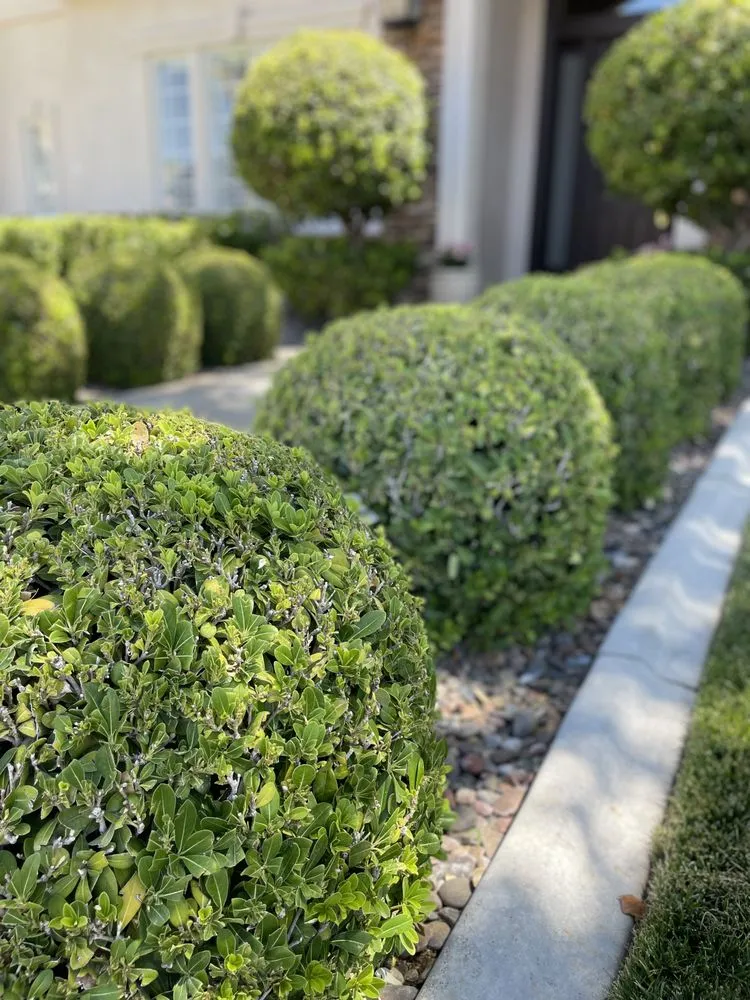 Expert landscape design in Las Vegas, NV by AV Landscape