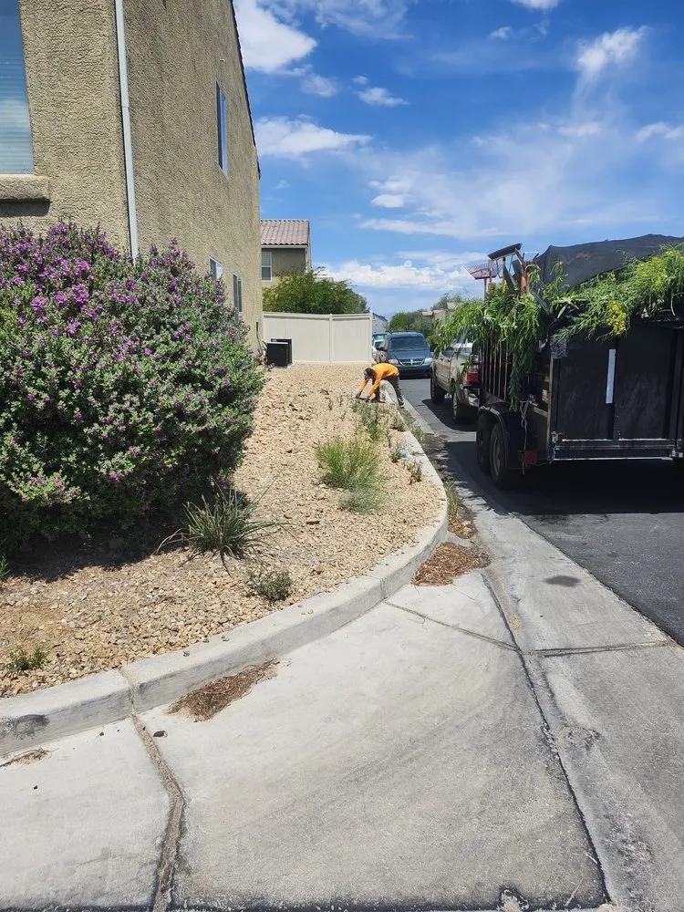 Expert outdoor landscaping for beautiful yards in Las Vegas, NV by AV Landscape