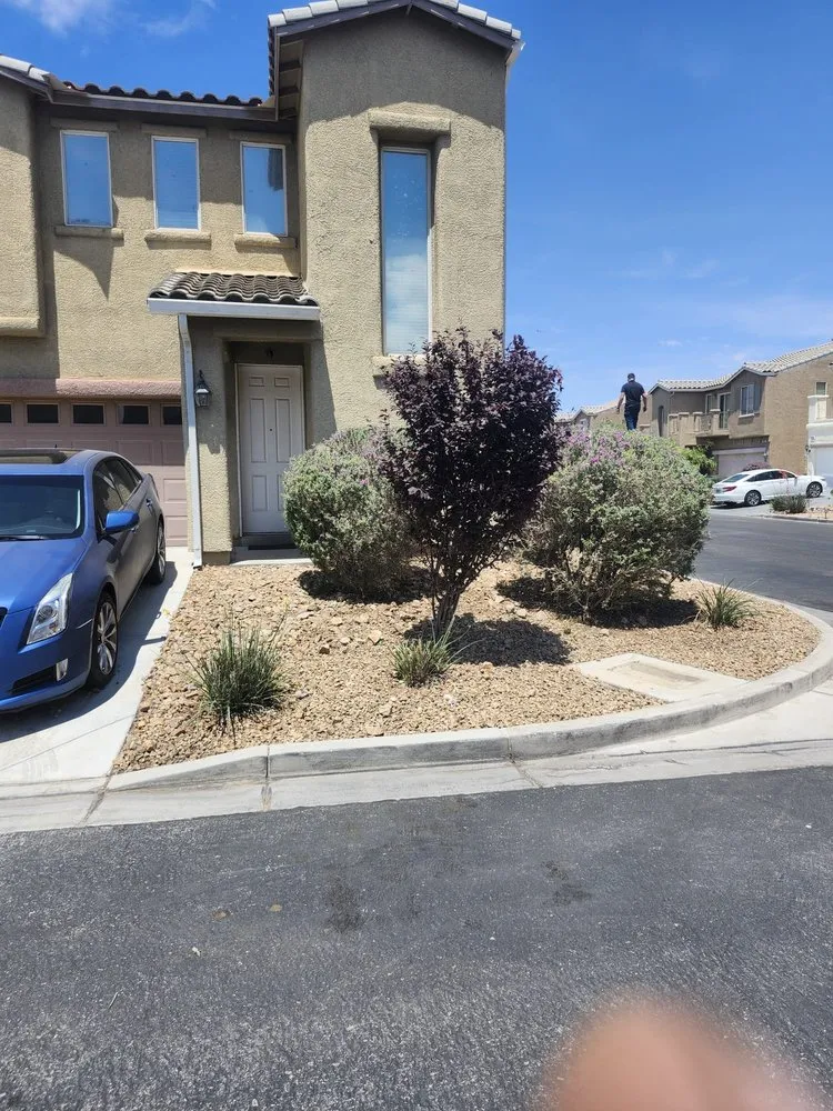 Affordable landscape installation in Las Vegas, NV by AV Landscape