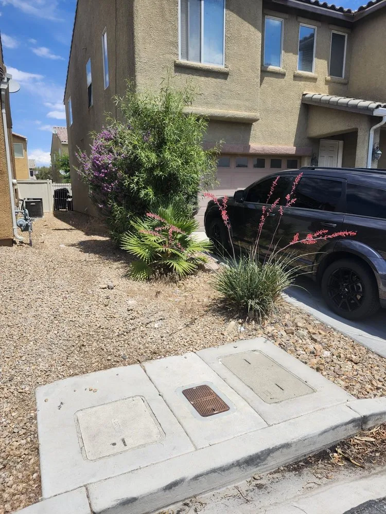 Affordable garden landscaping near you across Las Vegas, NV - AV Landscape