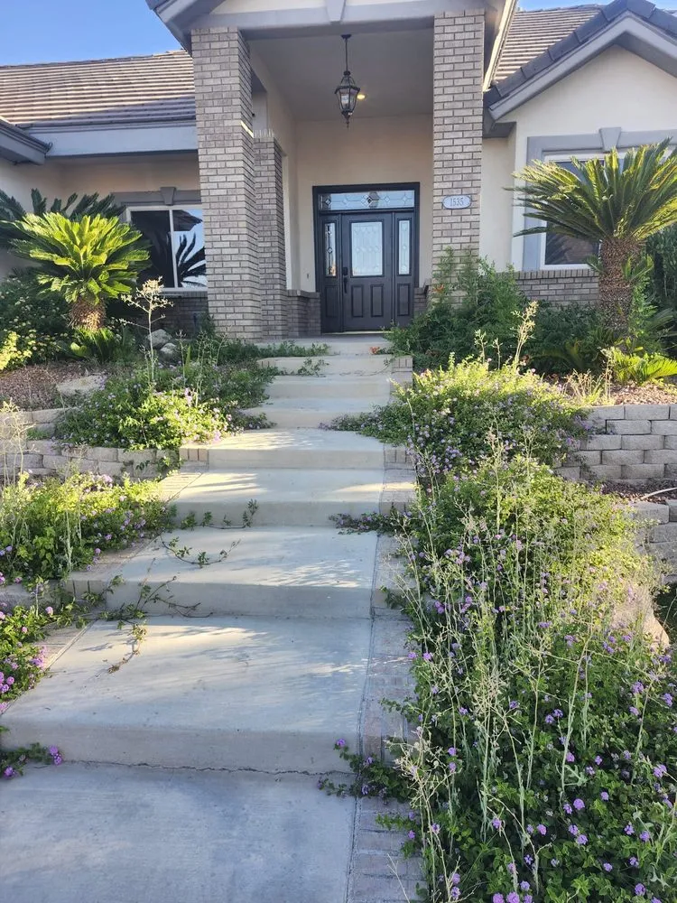 Professional outdoor landscaping in Las Vegas, NV - AV Landscape