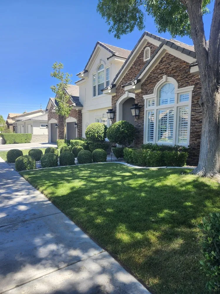 Local landscape design in Las Vegas, NV - AV Landscape