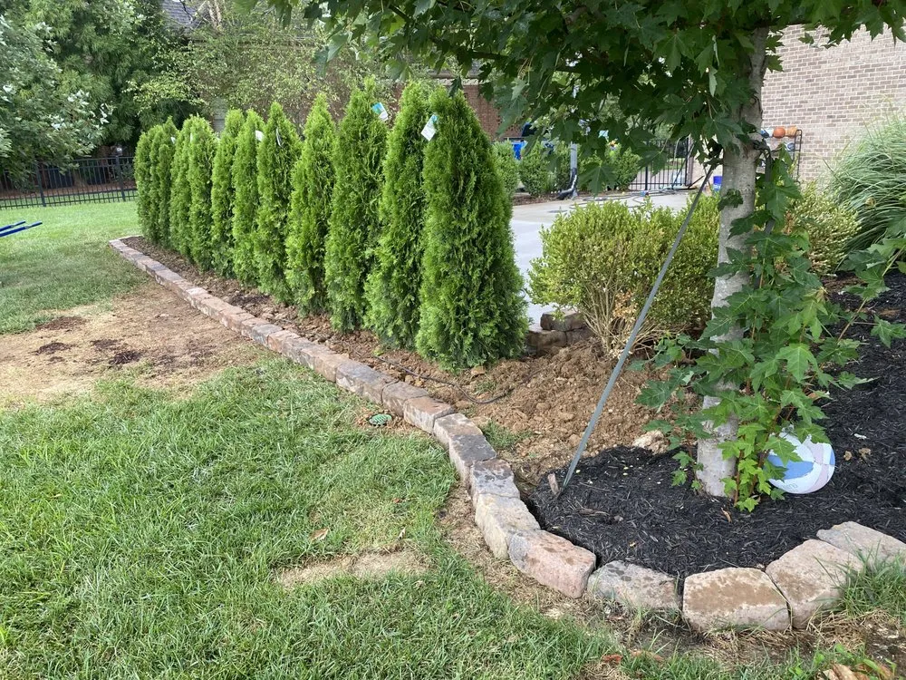 Professional outdoor landscaping in Gallatin, TN - AV Landscapes & Hardscapes