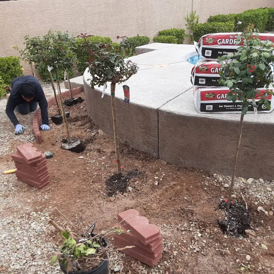 Custom garden landscaping in Las Vegas, NV - AV Landscapes