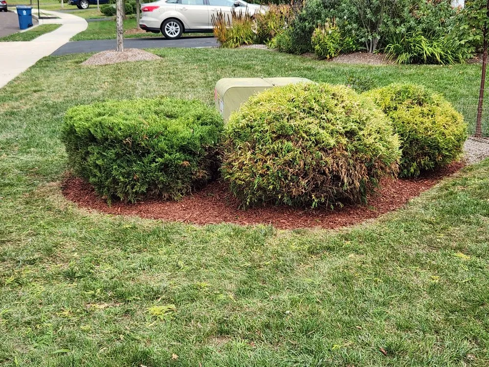 Local landscaping services for residential properties across Quakertown, PA - AV Landscapes