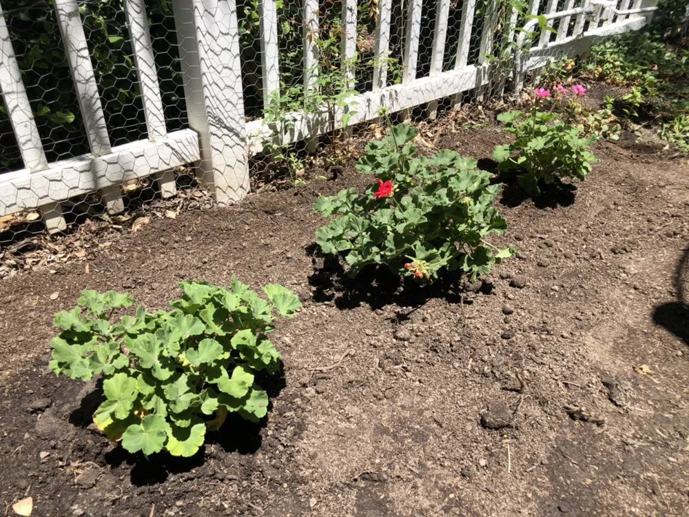 Trusted garden landscaping experts serving Tracy, CA - AV Landscaping & Maintenance Services