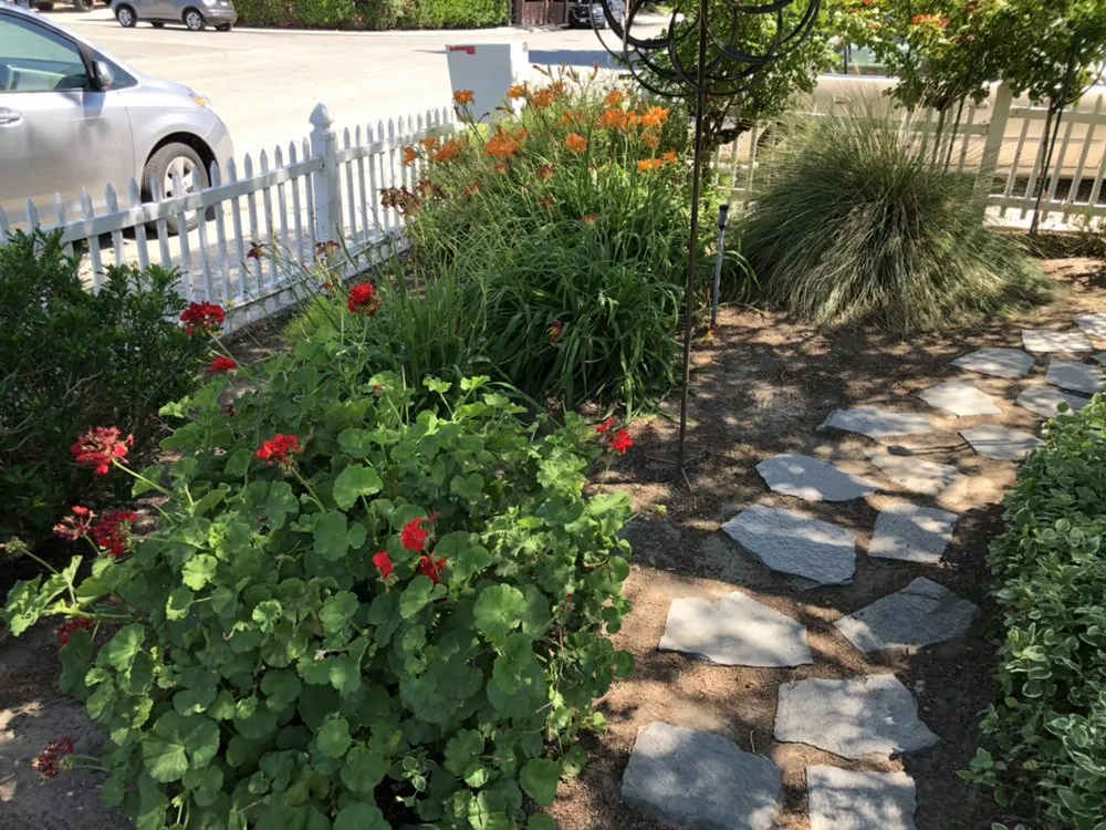 Local yard maintenance for beautiful yards in Tracy, CA by AV Landscaping & Maintenance Services