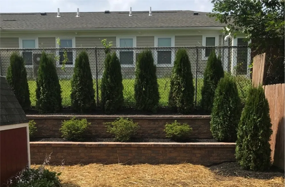 Affordable yard maintenance in East haven, CT by AV Landscaping & Stone