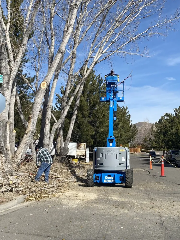 Local landscaping services experts serving Carson city, NV - A&V Landscaping