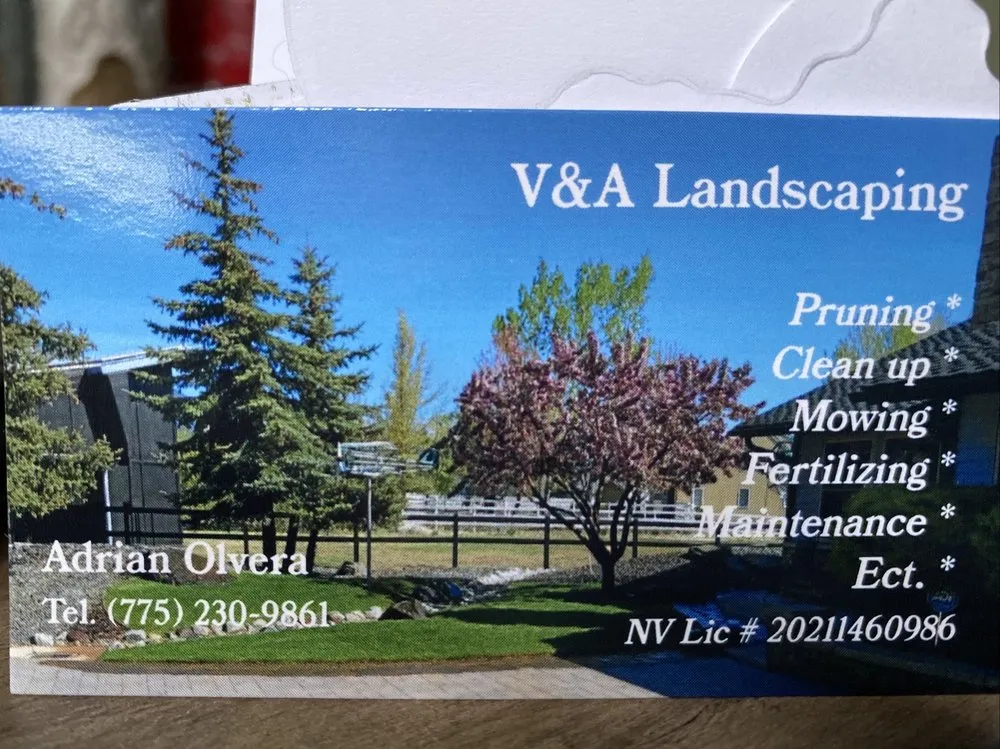 Trusted outdoor landscaping in Carson city, NV by A&V Landscaping