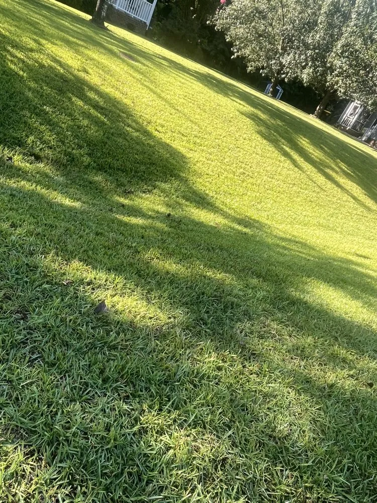 Professional garden landscaping for homes in Greenville, NC by A&V Landscaping