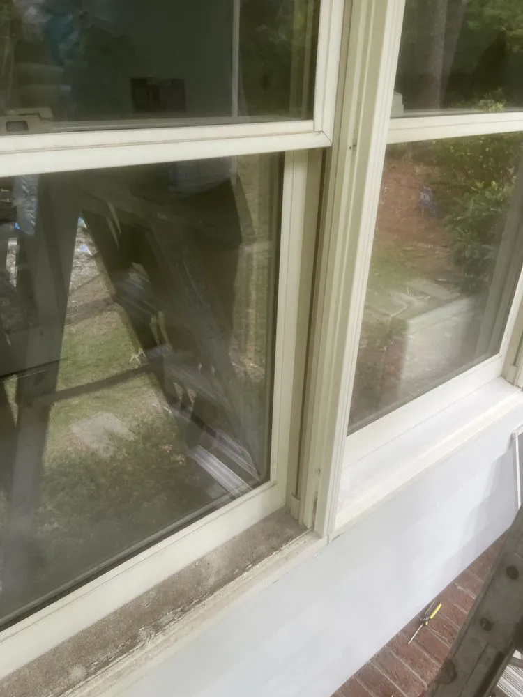 Top-rated yard cleanup service experts serving Greenville, NC - A&V Landscaping