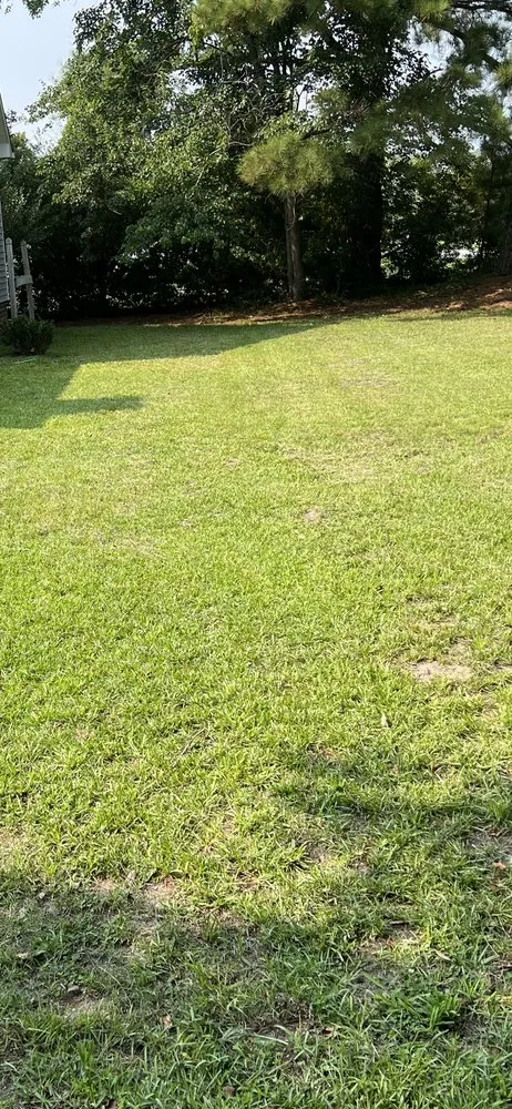 Reliable garden landscaping near you across Greenville, NC - A&V Landscaping