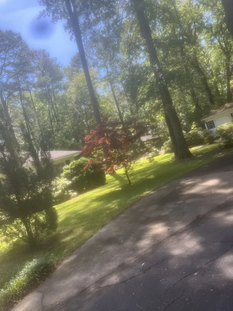 Affordable garden landscaping in Greenville, NC - A&V Landscaping