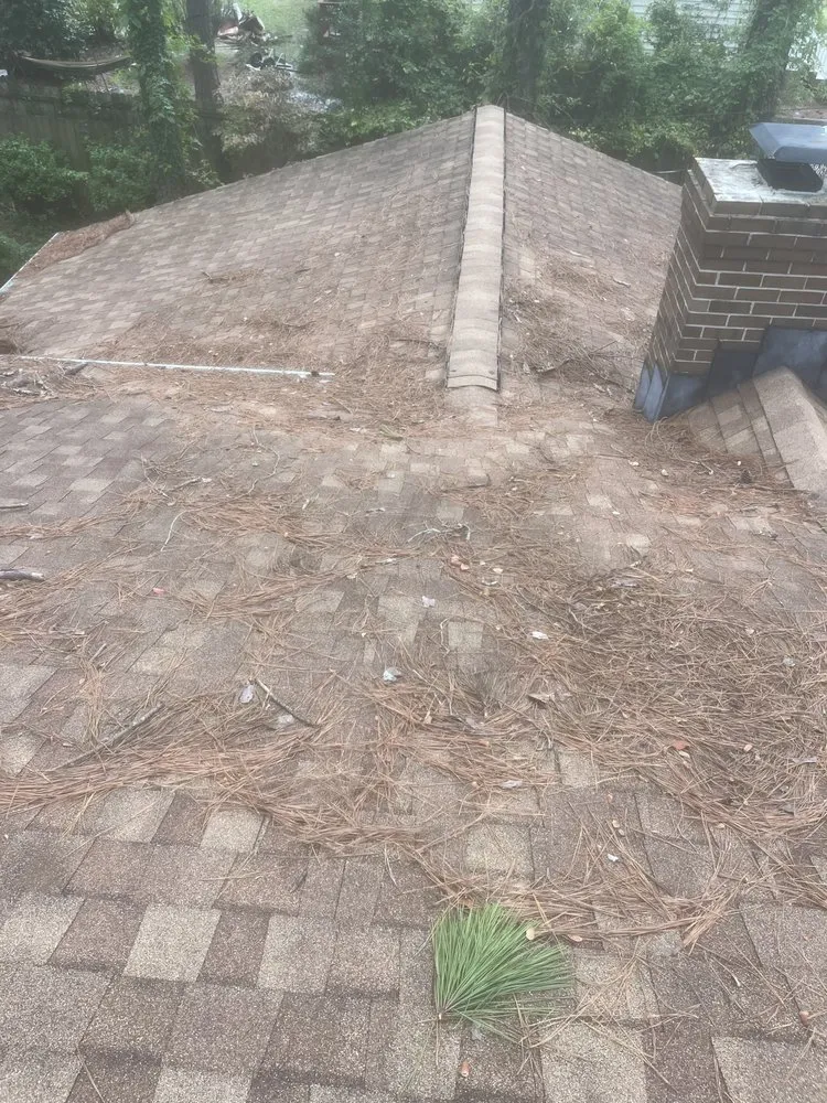 Professional landscape design experts serving Greenville, NC - A&V Landscaping