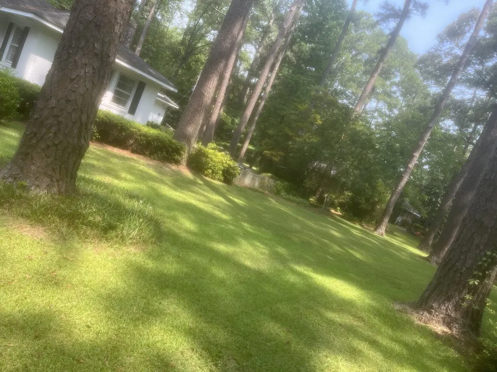 Local lawn care service experts serving Greenville, NC - A&V Landscaping