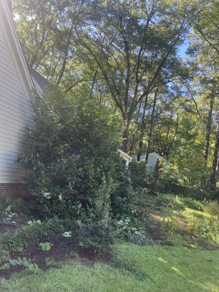 Local landscape installation for residential properties across Greenville, NC - A&V Landscaping