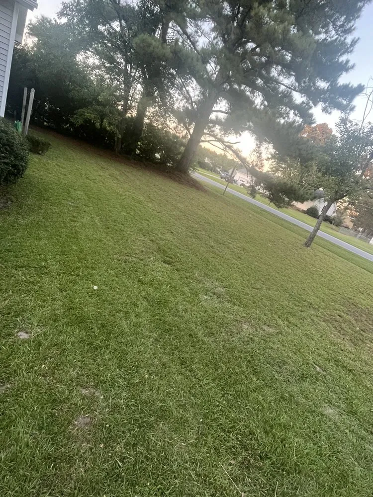 Expert residential landscaping for outdoor upgrades in Greenville, NC by A&V Landscaping