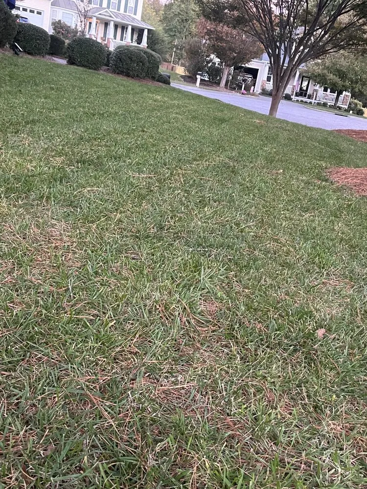 Reliable outdoor landscaping for homes in Greenville, NC by A&V Landscaping