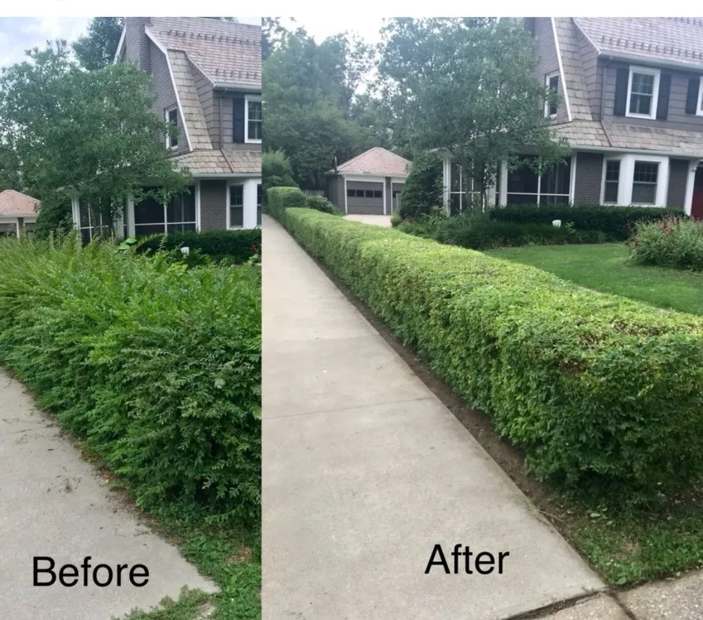 Top-rated yard maintenance in Houston, TX - AV Landscaping