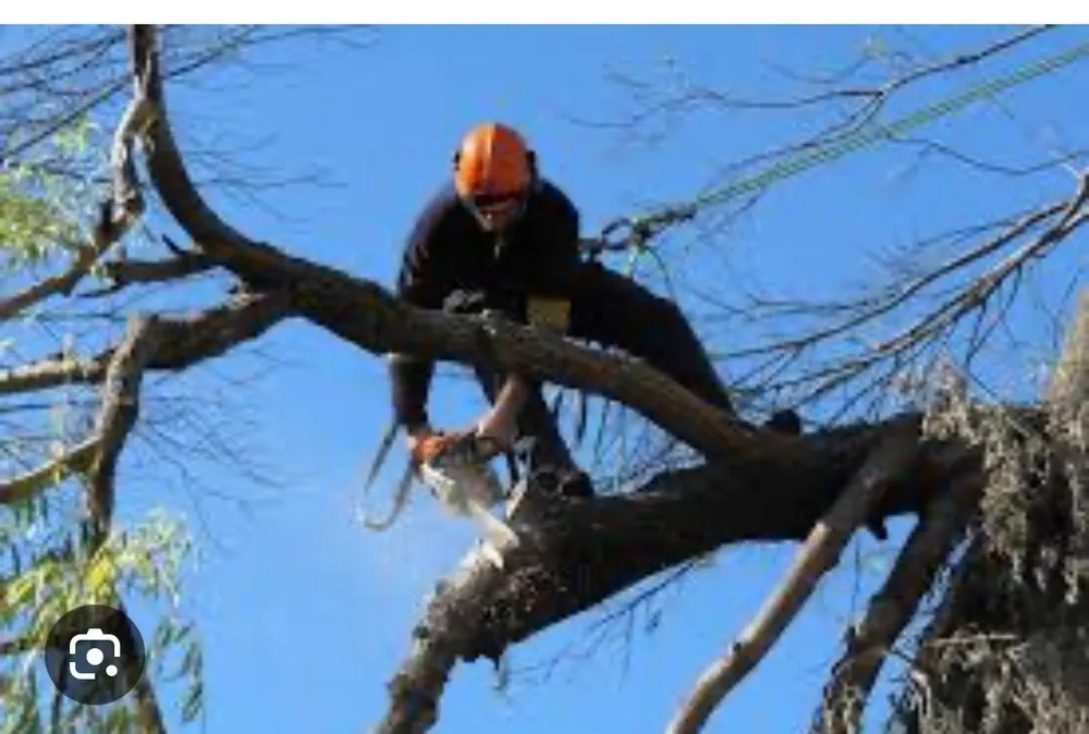 Expert residential landscaping with custom design across Houston, TX - AV Landscaping