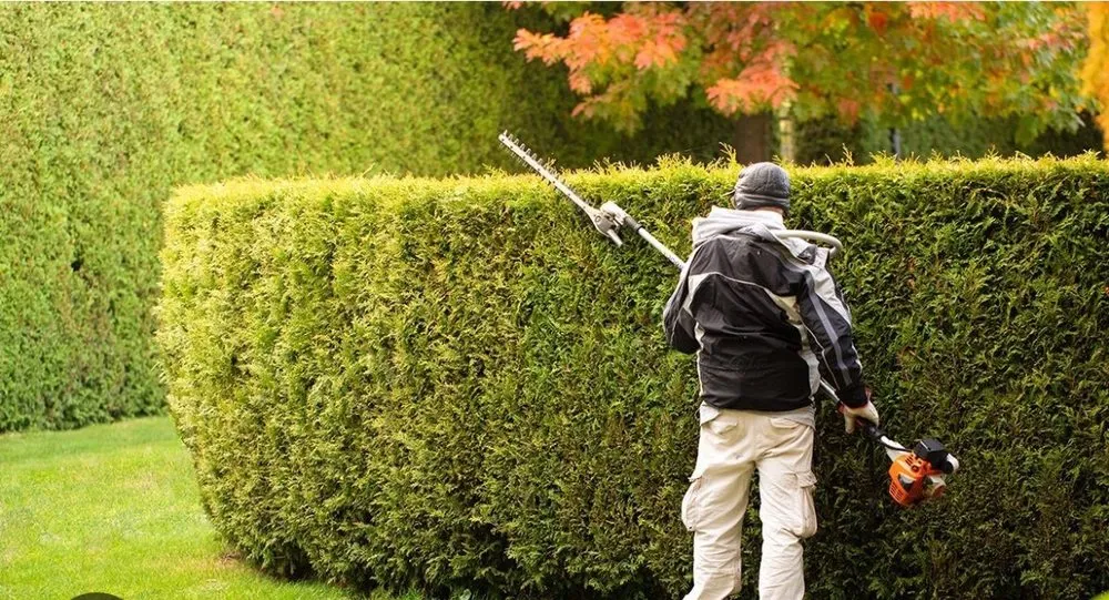 Trusted yard maintenance for homes across Houston, TX - AV Landscaping