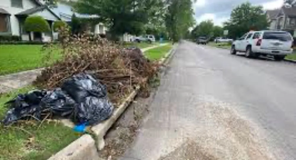 Affordable residential landscaping in Houston, TX by AV Landscaping