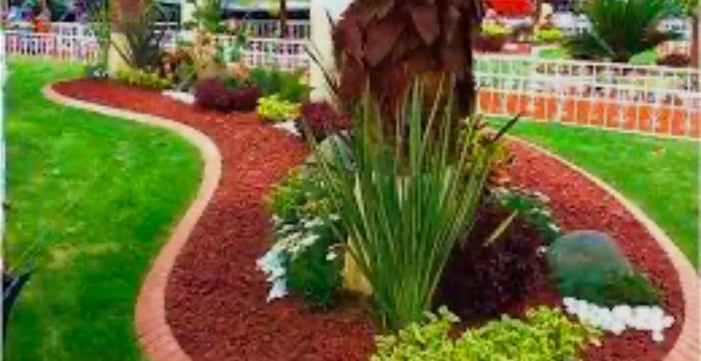 Expert yard maintenance in Houston, TX by AV Landscaping