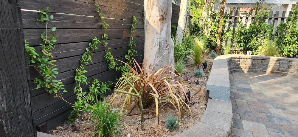 Top-rated residential landscaping in Mission Viejo, CA - AV Landscaping